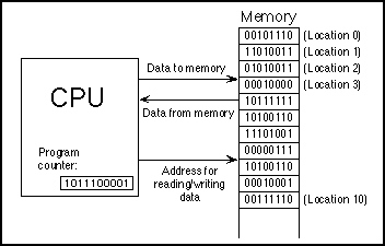 Estructura de un ordenador